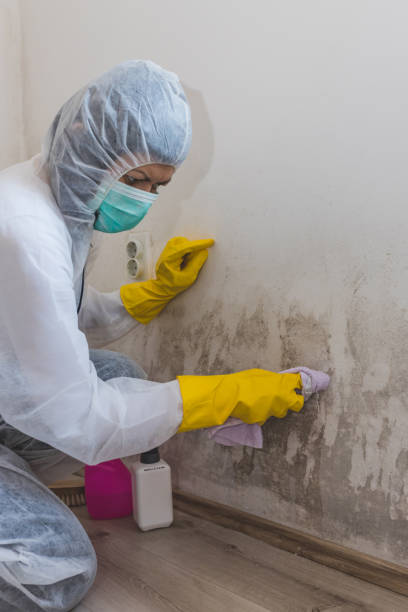 Best Airborne Mold Testing  in Shelbyville, IN